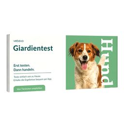 Giardientest Hund