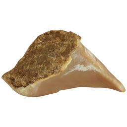 Schecker - Gefüllte Kauhufe