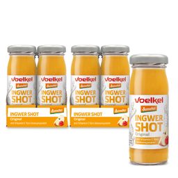 Voelkel Ingwer Shot Original – Immun-Boost - 16er Set (16 x 95 ml)