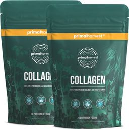 Collagen Pulver von Primal Harvest®