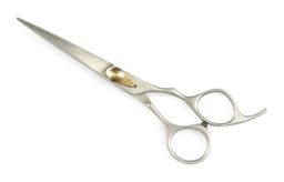 Excellent Haarschere aus Edelstahl