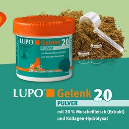 LUPO Gelenk 20 - Pulver