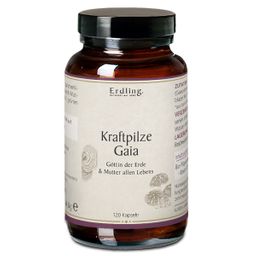 Erdling Kraftpilze Gaia – Vitalpilz Synergetikum