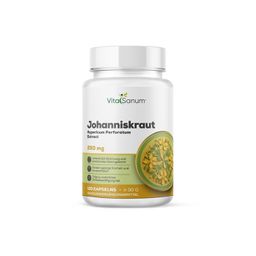VitaSanum® - Echtes Johanniskraut (Hypericum perforatum)