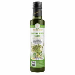Zühre Ana | Rheum Ribes Essig