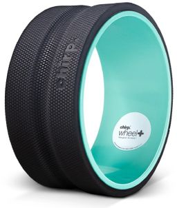 CHIRP 25,4 cm Wheel Plus – Fest