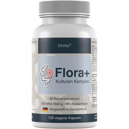 EXVital® Flora+ Kulturen Komplex mit 500 Mrd. KBE/g - 22 Bakterienkulturen