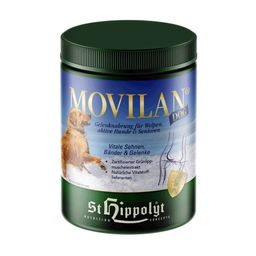 St. Hippolyt Movilan Dog