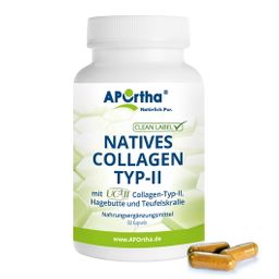 APOrtha® Natives UC-II® Collagen TYP-II Kapseln