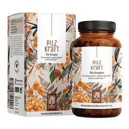 Pilz Komplex Vitamin B2 Chaga Vitalpilze Shiitake Extrakt 120 vegane Kapseln Pilzkraft NATURTREU®