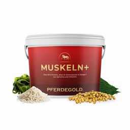 Pferdegold Muskeln+