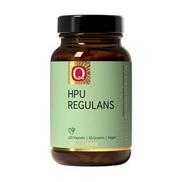 HPU Regulans Kapseln von Quintessence