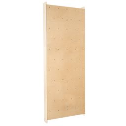 Sport-Thieme Kletterwand für Sprossenwand