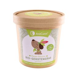 AniCanis Bio Gerstengras Pulver für Hunde & Katzen