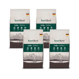 Venandi Animal - Lachs