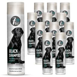 SILBERKRAFT Black Shampoo
