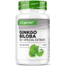 Vit4ever Ginkgo Biloba 6000 mg