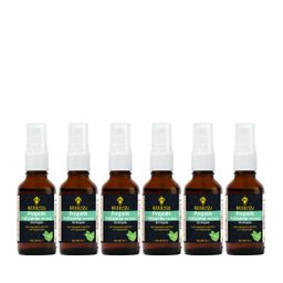 BEE&YOU Propolis Tinktur, Propolis Spray mit Menthol & Honig, Mundspray, Halsspray