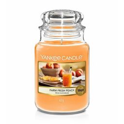 Yankee Candle Farm Fresh Pfirsich Duftkerze