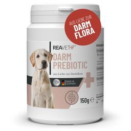 Darm Prebiotic - ReaVET