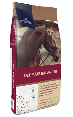 DODSON & HORRELL Ultimate Balancer