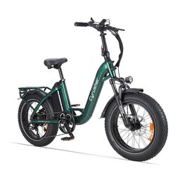 CYRUSHER Rumble 2.0 Elektrofahrrad mit 48V 18Ah Akku