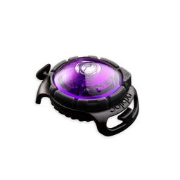 Orbiloc Sicherheitslicht Dog Dual Purple