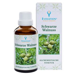 Evolution Schwarze Walnuss Tinktur