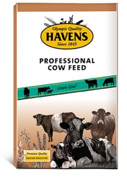 Havens Cow Junior+