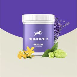 HUNDPUR® NERVEN MIT GLÜCKSKOMPLEX