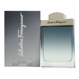 Salvatore Ferragamo Subtil Pour Homme Eau de Toilette 100 ml