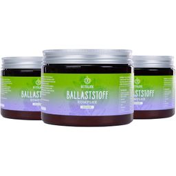 BitterLiebe Ballaststoff Pulver - Mix aus Flohsamenschalen und  Inulin für Verdauung & Darmbalance
