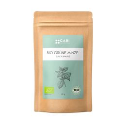 Bio Grüne Minze Tee