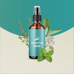 Hundpur® Zähne mit Dentalkomplex