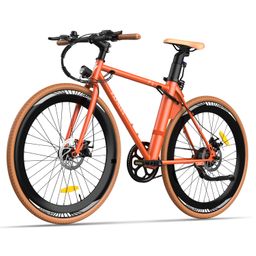 Fafrees F1 Elektrofahrrad für Erwachsene, 250-W-Motor, 36-V-10-Ah-Akku