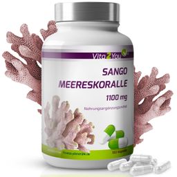 Vita2You Sango Meereskoralle Kapseln Magnesium & Kalzium