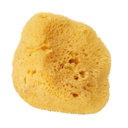 Naturschwamm Badeschwamm Duschschwamm extra weich Ø 12 cm