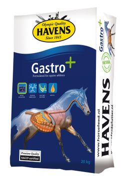 Havens Gastro+