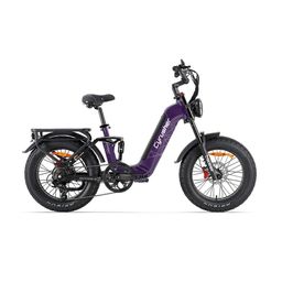 CYRUSHER Kommoda 3.0 Elektro-Lastenrad mit 48V 20Ah Akku