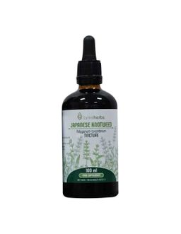 Lymeherbs Japanischer Staudenknöterich 1:2