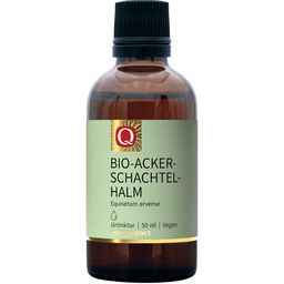 Quintessence Bio-Ackerschachtelhalm Tinktur