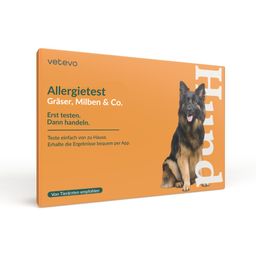 Allergietest - Gräser, Milben & Co. Hund
