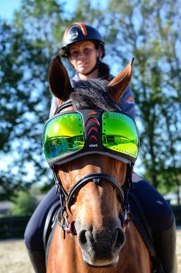 eQuick® eVysor Schutzbrille mirrored green, onesize