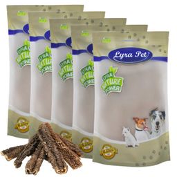 Lyra Pet® Rinderpansen groß