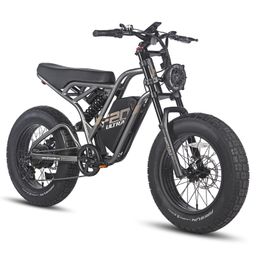 Fafrees F20 Ultra Elektrisches Dirtbike mit 48V 25Ah Akku