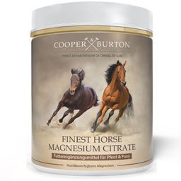 COOPER & BURTON Magnesiumcitrat für Pferde & Ponys – hochdosiertes Magnesium Pulver ohne Zuckerzusat