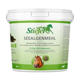 Stiefel Seealgenmehl