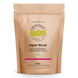 Biotiva Ingwer Pulver Bio