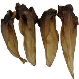 Schecker - Reh-Ohren