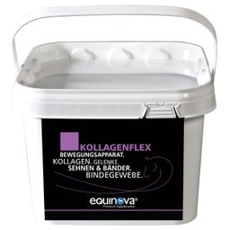 equinova Kollagenflex